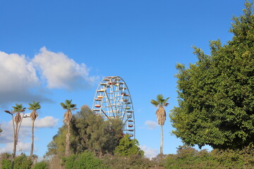 Ferris wheel and palm trees against blue sky with white clouds.