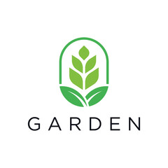 Grain Wheat Logo Concept sign icon symbol Design. Grain Wheat Leaf Logo . Vector illustration logo template Design 