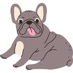 Gray French Bulldog Sitting Tongue Out With Dark Spots And Large Ears On Transparent Background