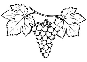 A bunch of grapes with leaves on a vine. Simple black and white vector line art icon, ideal for a logo, coloring book page, or wine label design.