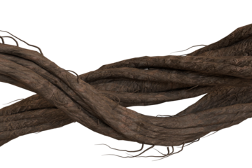 Rough, gnarled, dark brown tree roots or thick vines intertwined horizontally across a black void, showcasing natural organic textures and complex patterns