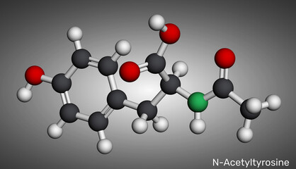 N-acetyl-tyrosine (NALT) molecule. Cognitive enhancer, acetylated derivative of tyrosine amino acid. Molecular model. 3D rendering. Illustration