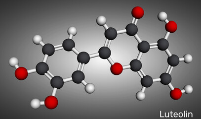 Luteolin molecule. Citrus and herb bioflavonoid, antioxidant and antiinflammatory. Molecular model. 3D rendering. Illustration