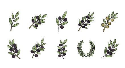 Collection of stylized olive branches and a laurel wreath, featuring both ripe black olives and unripe green olives, rendered in a clean, illustrative style with subtle color variations and outlines