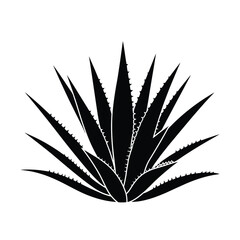 Black silhouette of a spiky agave plant on a white background