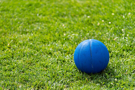 A blue ball on a green grass field - Powered by Adobe