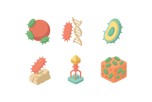 isometric icon items isolated on white background bacterial infection macrophage infiltration site bacterial infection antibiotic resistance gene bacterial infection capsule polysaccharide