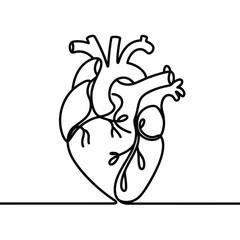 Minimalist continuous line drawing of a human heart on white background