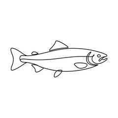 Fototapeta premium Simple outline drawing of a salmon fish