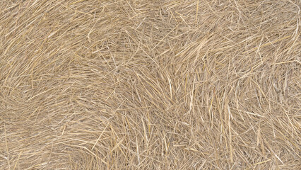 Close-up view of dry hay texture showing natural straw pattern and details. Organic yellow-brown surface perfect for agricultural, rural, or eco-themed backgrounds and designs.
