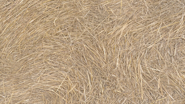Close-up view of dry hay texture showing natural straw pattern and details. Organic yellow-brown surface perfect for agricultural, rural, or eco-themed backgrounds and designs.