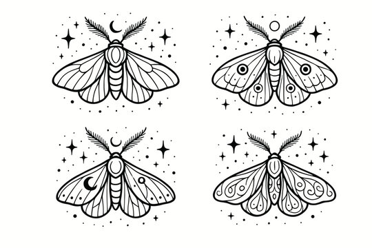 4 outline moths with detailed wings and cosmic background flat vector illustration style isolated on white background