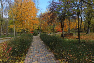 Beautiful autumn park filled with golden-yellow trees, cozy benches, and winding walking paths. Fallen leaves cover the ground, creating a peaceful and romantic atmosphere perfect for relaxation