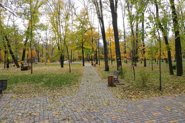 Beautiful autumn park filled with golden-yellow trees, cozy benches, and winding walking paths. Fallen leaves cover the ground, creating a peaceful and romantic atmosphere perfect for relaxation