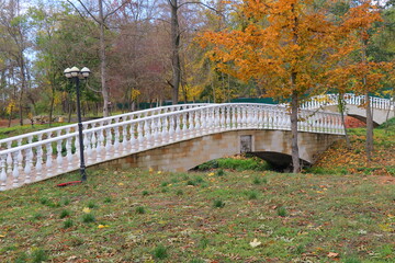 Beautiful autumn park filled with golden-yellow trees, cozy benches, and winding walking paths. Fallen leaves cover the ground, creating a peaceful and romantic atmosphere perfect for relaxation