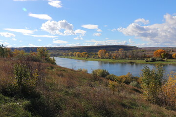 Peaceful autumn landscape with a calm river, colorful trees, and a grazing cow on a green hillside under a cloudy sky