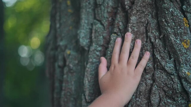 Child hand touches textured bark in forest. Nature moment with skin and tree. Wood details visible. Hand rests softly. Tree texture under fingers. Child in nature. Bark touched calmly by hand.