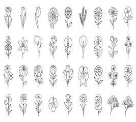 A delicate assortment of flower illustrations in line art, isolated on white background, showcasing various blooms and botanical elements, perfect for adding a touch of nature to designs