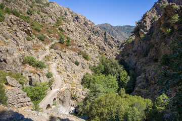 the old Ponte di l'Accia stone bridge on the Scala di Santa Regina hiking trail near Corscia in central Corsica in the sunlight