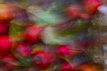 Close-up. Blurred autumn background. Abstract colourful background. Leaves and red apples on the ground