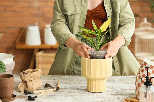 Young woman putting plant into pot at table in workshop