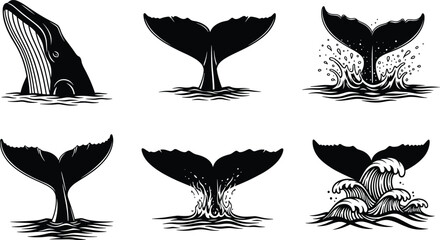 Whale and Tail Silhouette Vector Set, Black and White Ocean Illustrations, Marine Life Splash Scenes, Aquatic Motion, Sea Wildlife Icons © Samol