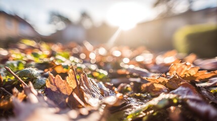 vegetation. Autumn garden bathed in warm sunlight with scattered golden leaves and peaceful ambiance. representing seasonal cycles and harvest abundance.