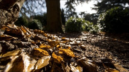 Obraz premium vegetation. Autumn garden bathed in warm sunlight with scattered golden leaves and peaceful ambiance. representing seasonal cycles and harvest abundance.