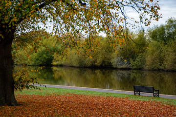 Autumn trees in the park along the river Trent in Nottingham, UK.