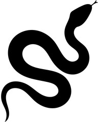 Fototapeta premium black and white snake vector
