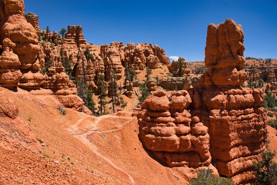 solitary hiking route amid striking geological formations, remote trail through colorful rocks with sparse trees under clear blue sky - Powered by Adobe