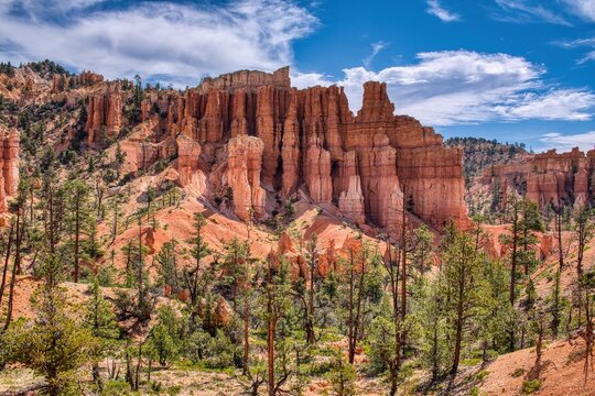 red hoodoo canyon trail winding through sunlit sandstone amphitheater under vivid blue sky, sparse juniper and pine dot orange slopes, pristine hiking