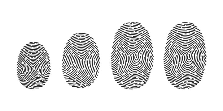 Continuous line drawing abstract design of four fingerprint patterns in varying sizes and forms vector