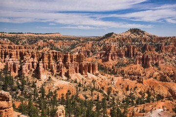 red hoodoo canyon trail winding through sunlit sandstone amphitheater under vivid blue sky, sparse juniper and pine dot orange slopes, pristine hiking