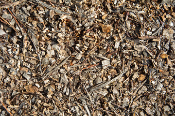 Natural background of dry wood mulch and shredded bark pieces on forest floor