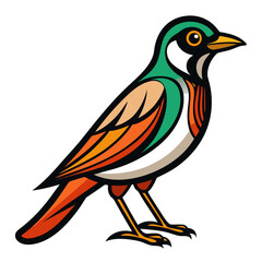 vector illustration of a bird