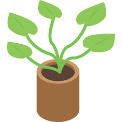 Green Potted Plant with Light Green Leaves in a Brown Cylindrical Pot Isolated on a Transparent Background