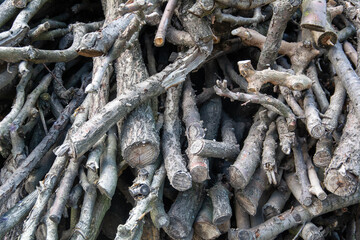 Pile of small dry branches and twigs in forest area for firewood