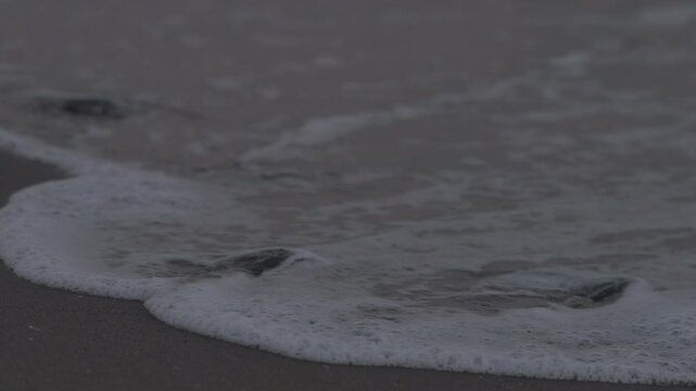 A few sea turtles are running into the waves at the same time in slow motion.