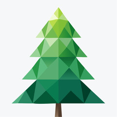 Evergreen tree with transparent background