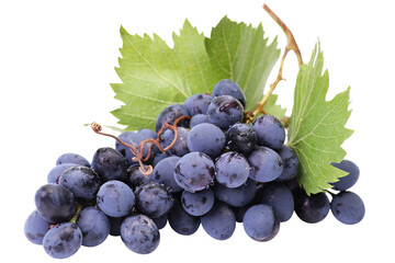 Bunch of grapes isolated on white background