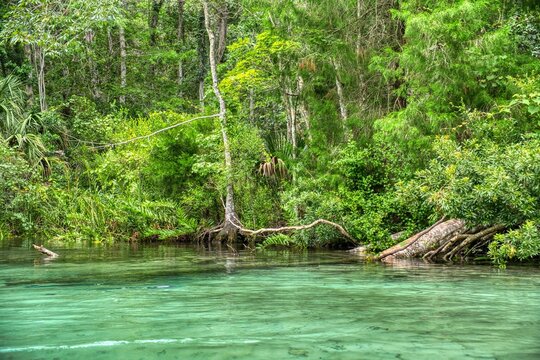 Weeki Wachee in Florida is known for its crystal-clear spring, the Weeki Wachee River, and the famous mermaid shows at the state park. Hernando County, Florida. High quality photo.