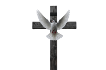 A majestic white dove with outstretched wings descends before a rustic wooden cross, symbolizing peace, hope, and the Holy Spirit. background removed