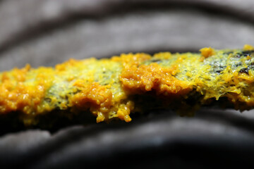 鮮やかな黄色いススホコリ属キノコが着生する枯枝（アウトドアフィールド菌＆キノコ類マクロ撮影）