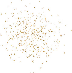 Falling Golden Confetti