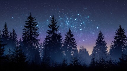 Naklejka premium Silhouettes of evergreen trees against a vibrant starry night sky with purple and blue hues