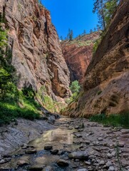 Zion Narrows. Virgin River canyons in Zion National Park in the US state of Utah. A breathtaking spot in the canyon with towering rock walls all around. Road trip in the USA. High quality photo.