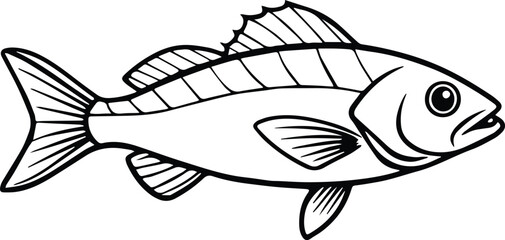 sea bass fish outline vector for fishing and marine design