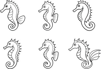 Set of seahorse outline vector for ocean life and educational design