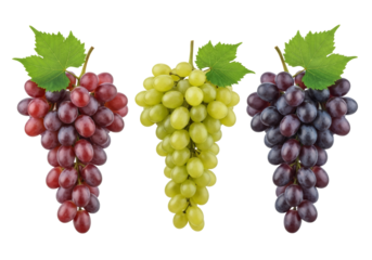 A symmetrical arrangement of red, green, and dark purple grapes with green leaves, set against a clean white background.